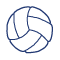 D6